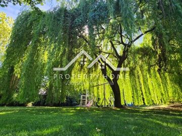place photo 27