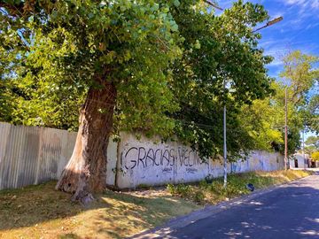 place photo 37