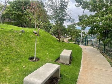 place photo 23