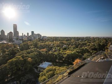 place photo 38