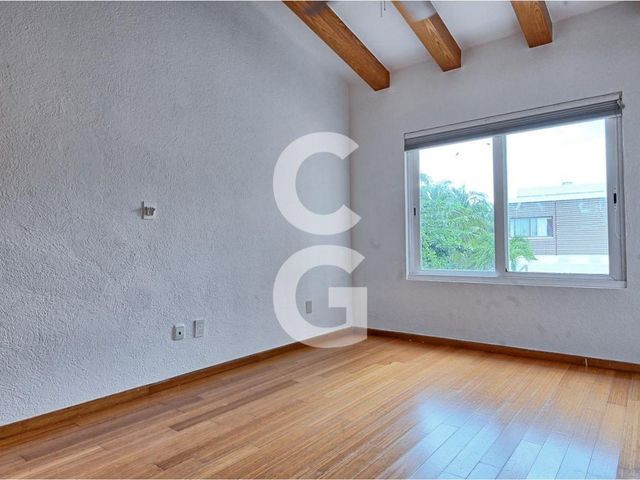 place photo 46