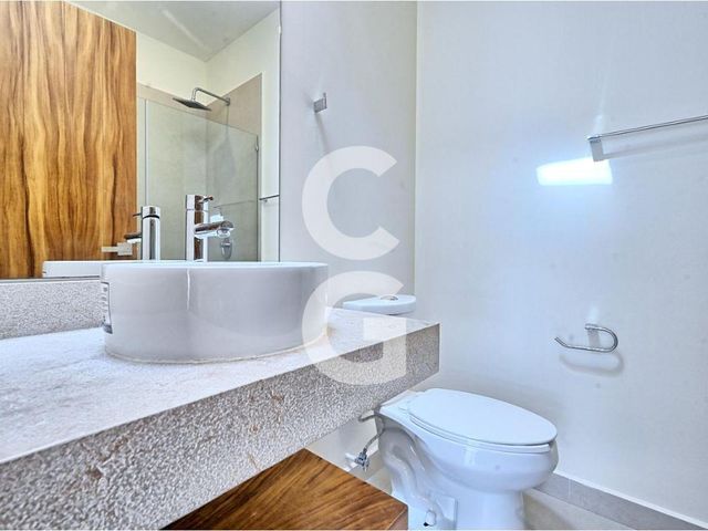place photo 23