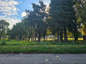 place photo 32