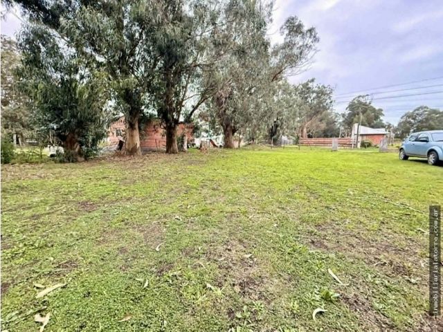 place photo 15