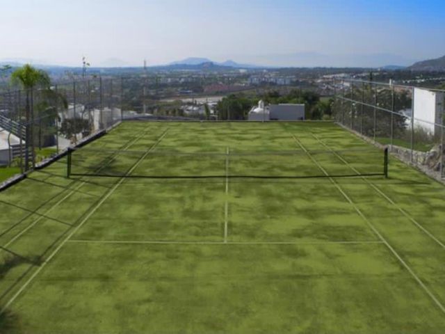 place photo 14