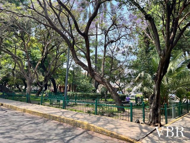 place photo 30