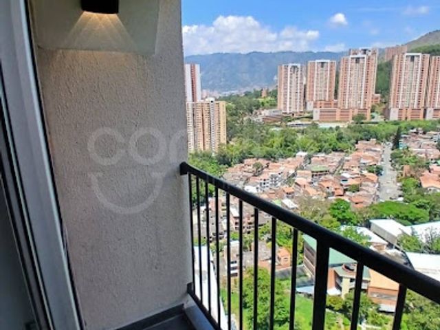place photo 19