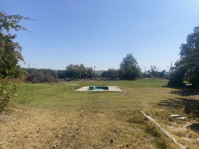 place photo 26