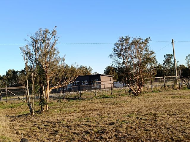 place photo 22