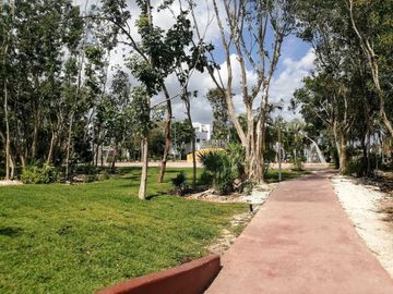 place photo 14