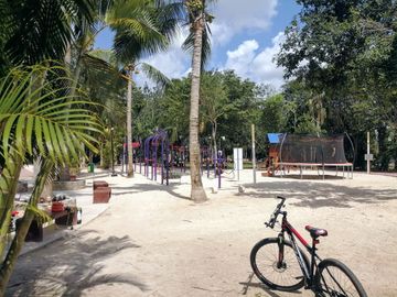 place photo 13