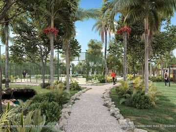 place photo 23