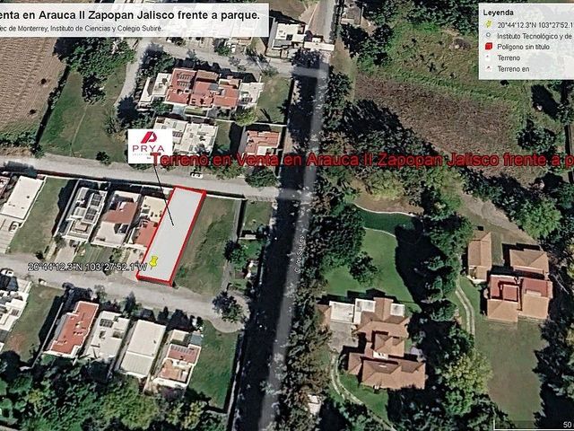 place photo 23