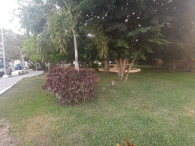 place photo 27