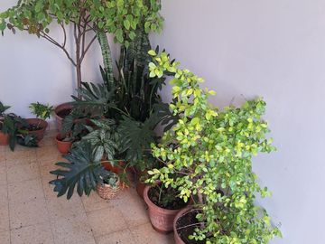 place photo 17