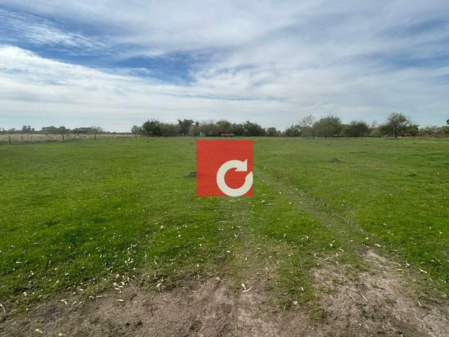 place photo 46