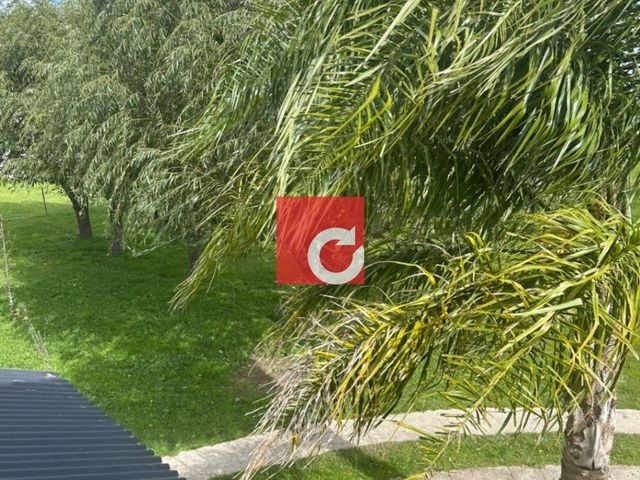 place photo 55