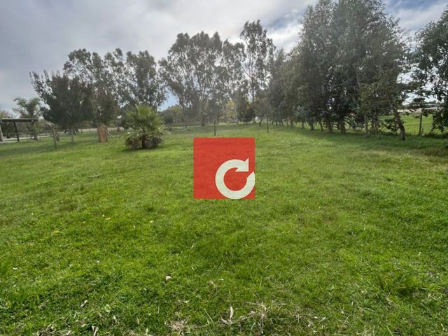 place photo 39