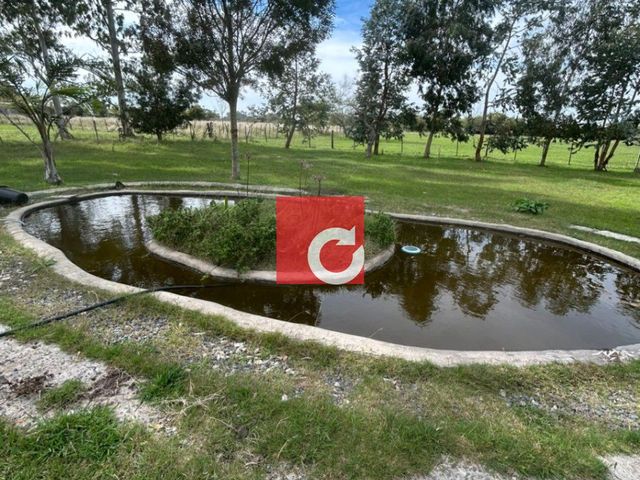 place photo 47