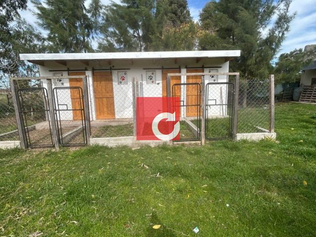 place photo 38