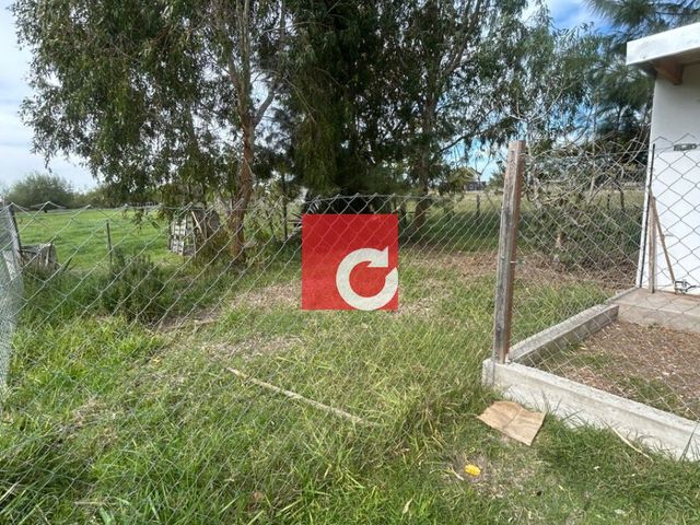 place photo 41