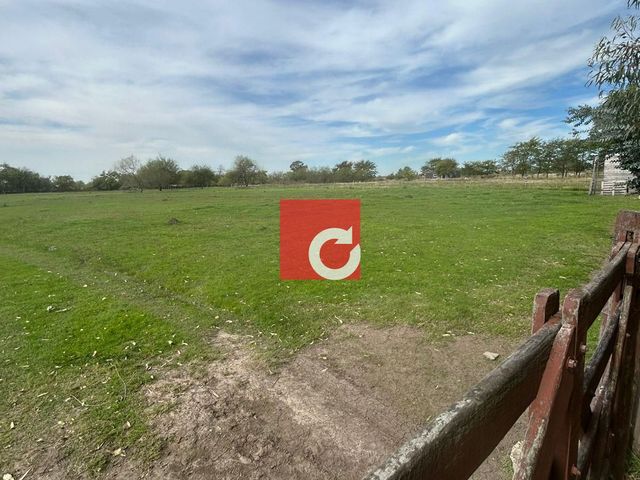 place photo 45
