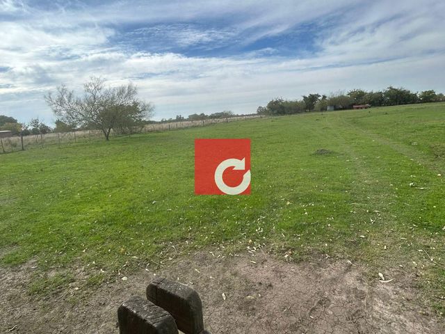 place photo 43