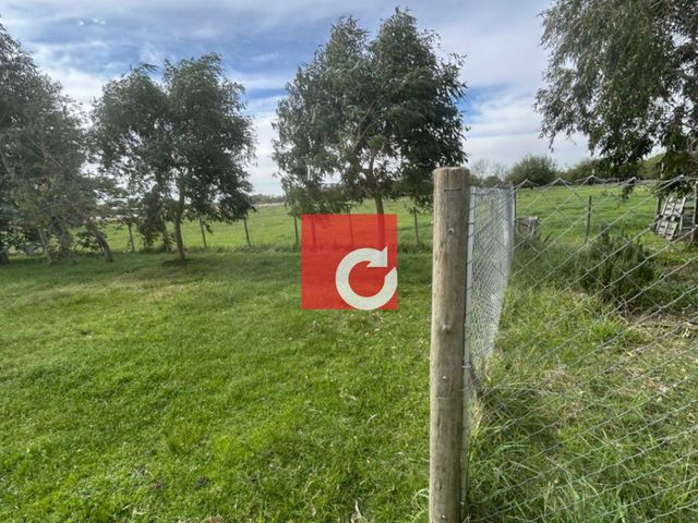 place photo 44