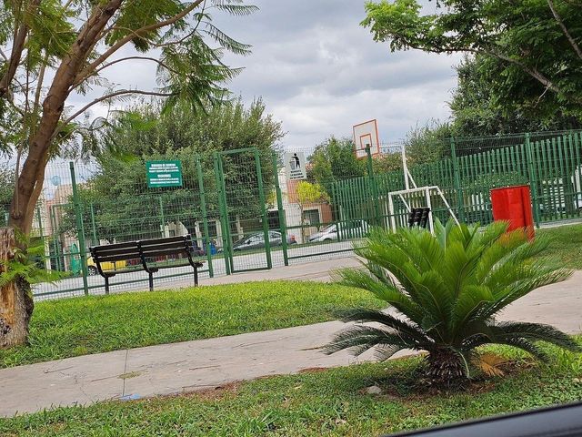 place photo 21