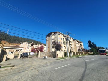 place photo 21
