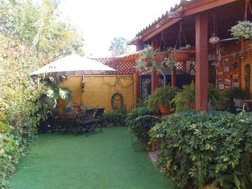 place photo 16