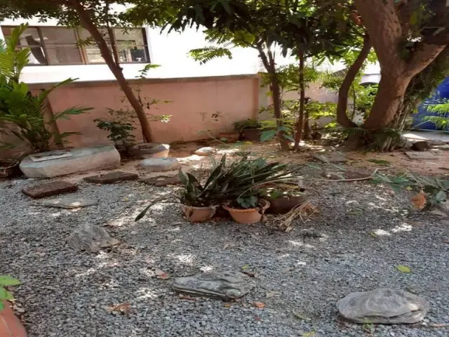 place photo 22