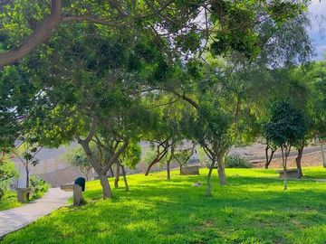 place photo 29