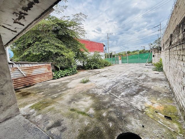 place photo 11