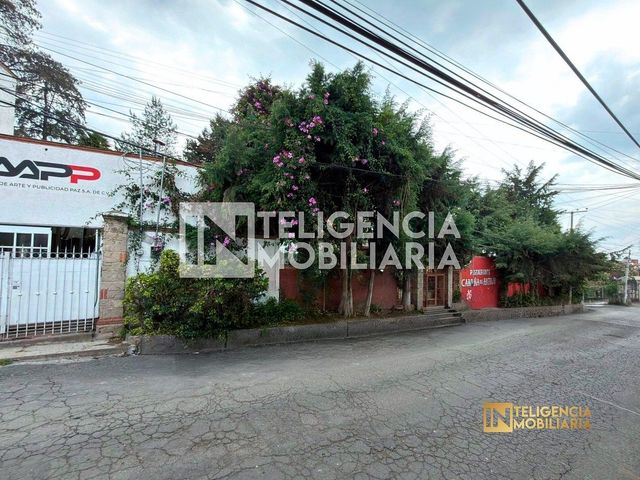 place photo 41