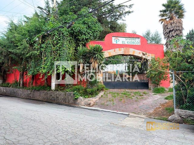 place photo 43