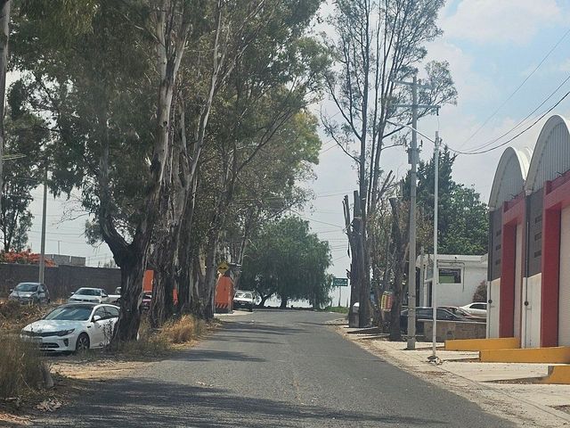 place photo 12