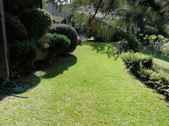 place photo 40