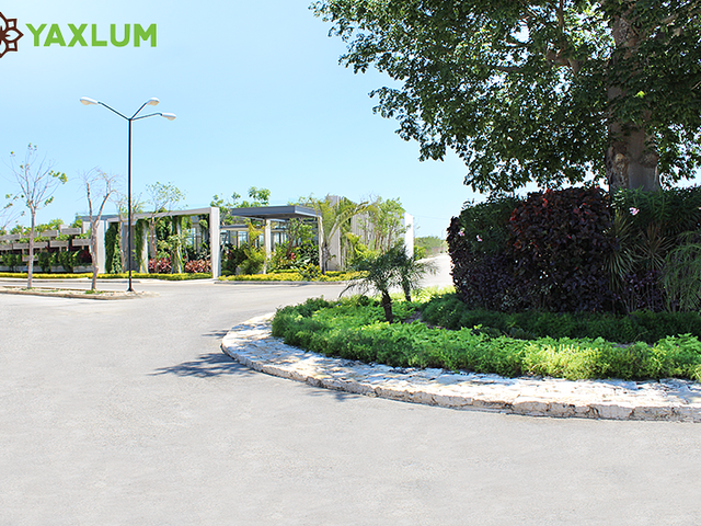 place photo 18