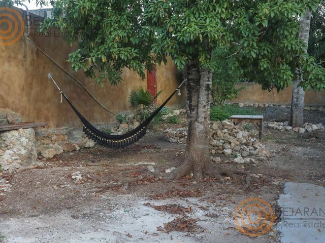 place photo 21