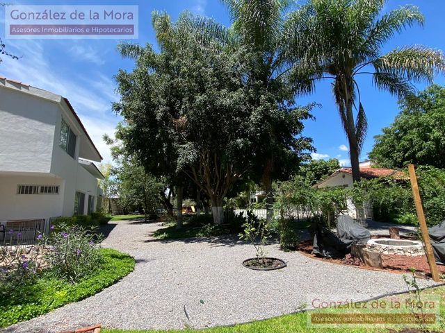 place photo 61