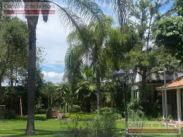place photo 63