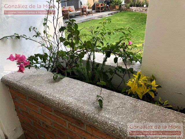 place photo 60