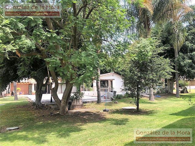 place photo 53