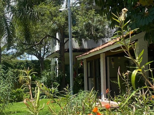 place photo 54