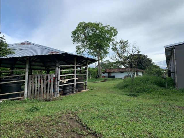 place photo 35
