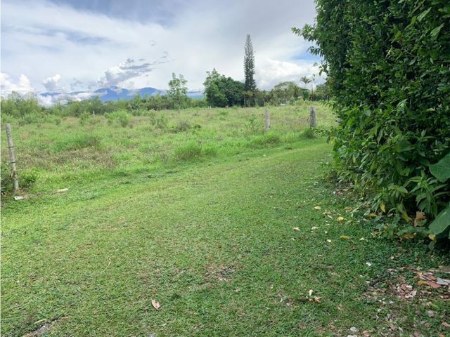 place photo 54