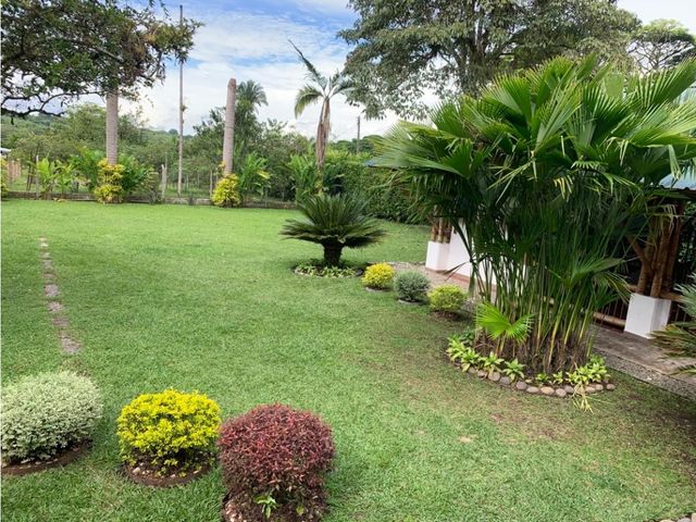 place photo 61