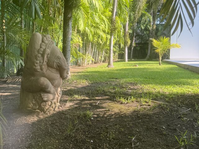 place photo 40