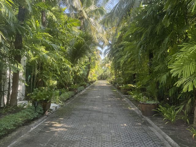 place photo 44